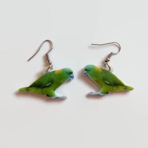 5/$20 - Amazon Parrot Earrings